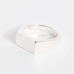 Signet Ring | Light Silver - warpedsense